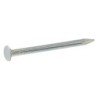 BOX 4''  ZINC  COATED P.P NAIL