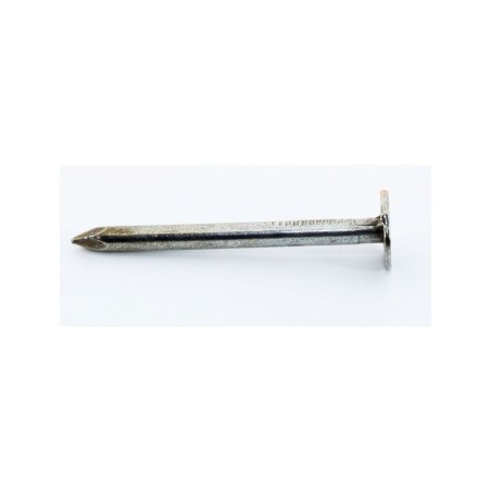 CELOTEX NAIL 1" LB