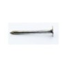 CELOTEX NAIL 1" LB