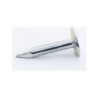 CELOTEX NAIL 3/4" (PER LB)