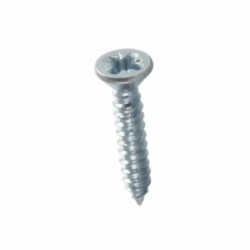 2" X 10 SELF THREAD SCREW C/S