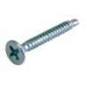 1/2" X 6" SELFTHREAD SCREW C-S