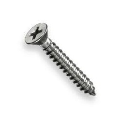 2" X 8" SELF THREAD SCREW C/S
