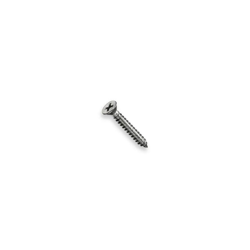 2" X 8" SELF THREAD SCREW C/S
