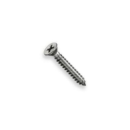 2" X 8" SELF THREAD SCREW C/S