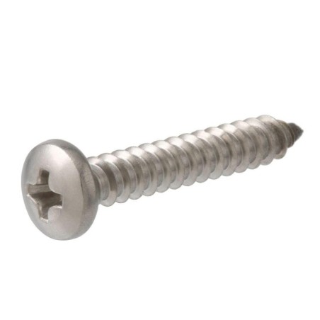 3/4" X 10" SELFTHREAD SCREW P-H