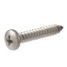 3/4" X 10" SELFTHREAD SCREW P-H