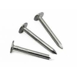 LOOSE 4" CONCRETE NAILS