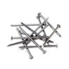 LOOSE 3" CONCRETE NAILS