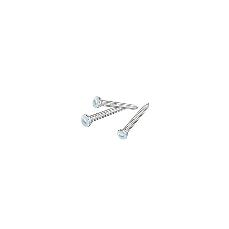 LOOSE 2 1/2" CONCRETE NAILS