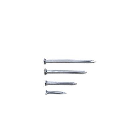 LOOSE 2" CONCRETE NAILS