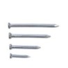 LOOSE 2" CONCRETE NAILS
