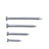 LOOSE 3/4" CONCRETE NAILS