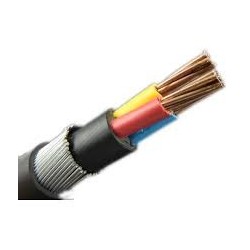ARMOURED PVC CABLE (25MM)