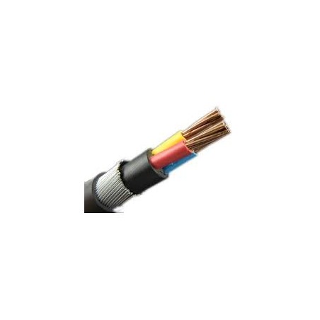 ARMOURED PVC CABLE (25MM)