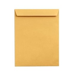 BROWN ENVELOPE - LEGAL SIZE