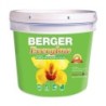BERGER EVERGLOW HINT-O-MINT- GALLON
