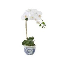 KALIEDOSCOPE DESIGNER WHITE...