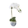 KALIEDOSCOPE DESIGNER WHITE ORCHID SOLAR WHITE-GAL